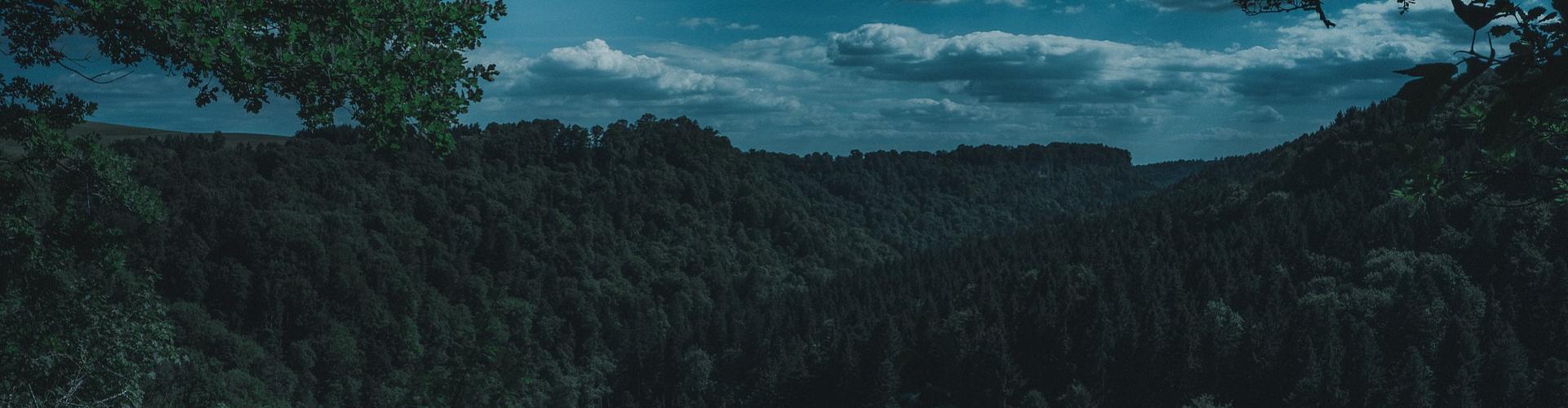 saint charles le forêt